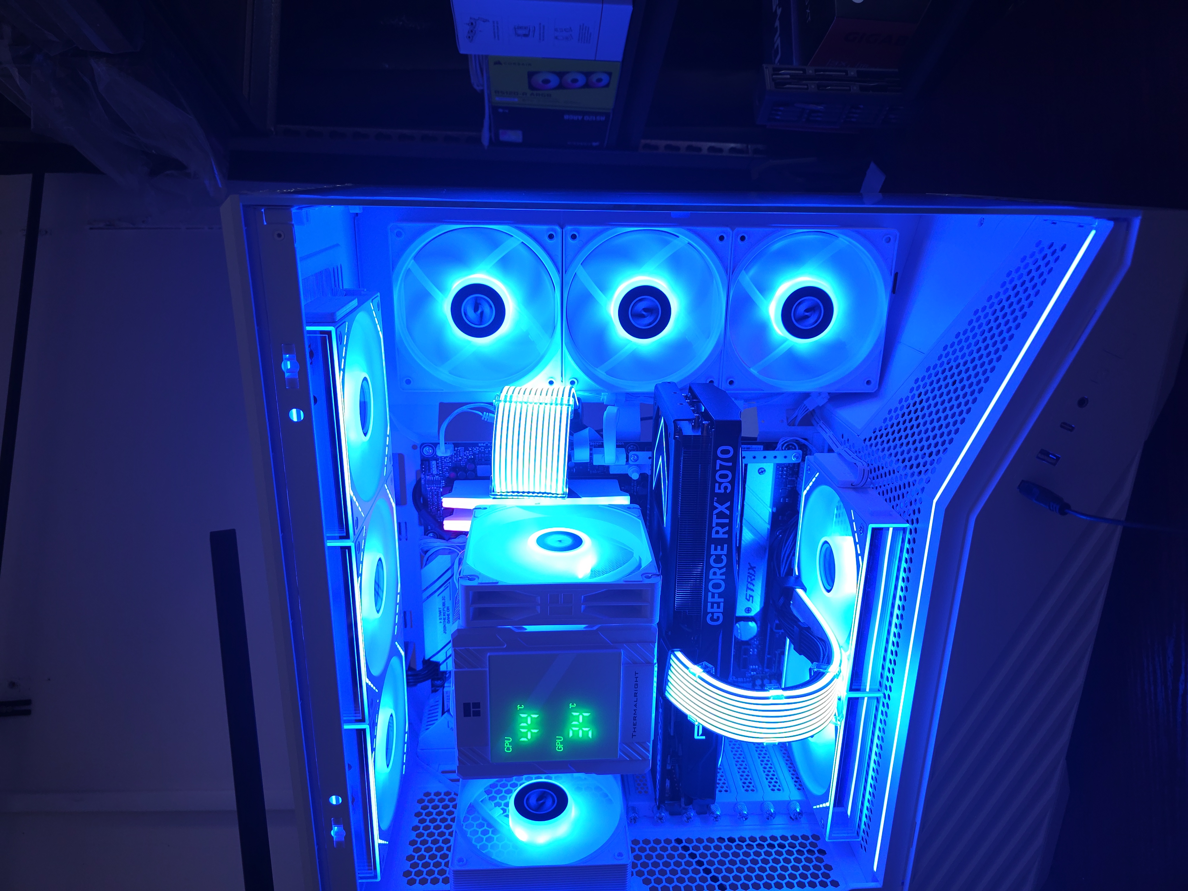 Arctic Strix